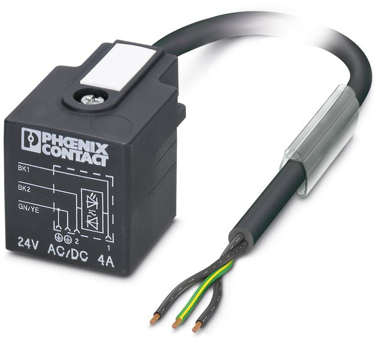 Rechteckiges schwarzes elektrisches Bauteil mit Kabeln, Beschriftung 'PHOENIX CONTACT', 24V AC/DC, 4A. Enthält Schaltplan-Symbol.