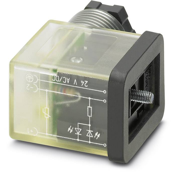 Ein quadratisches Relais mit transparentem Gehäuse zeigt ein Schaltbild und technische Symbole. Markiert ist die Spannung '24 V AC/DC'.