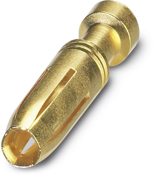 Goldener Bananenstecker, ein elektrischer Stecker für die Verbindung von Lautsprecherkabeln mit Verstärkern.