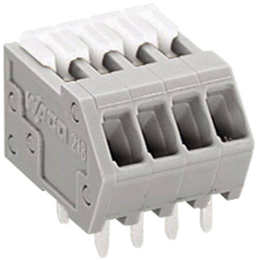 WAGO 218-504 Federkraftklemmblock 0.50mm² Polzahl 4 Grau