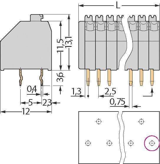 WAGO 250-412 Federkraftklemmblock 0.50mm² Polzahl 12 Grau