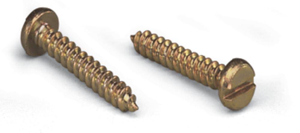 Zwei goldfarbene Metallschrauben, eine mit Spitzkopf, die andere mit Schlitzkopf, liegen auf einer weißen Oberfläche.