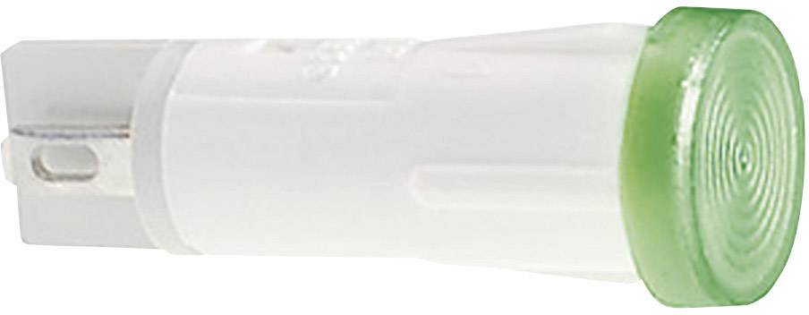 RAFI 1.69.525.210/1500 Standard Signalleuchte mit Leuchtmittel Grün 1St.