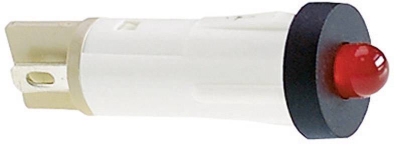 RAFI 1.69.525.004/0000 Standard Signalleuchte mit Leuchtmittel 1 St.