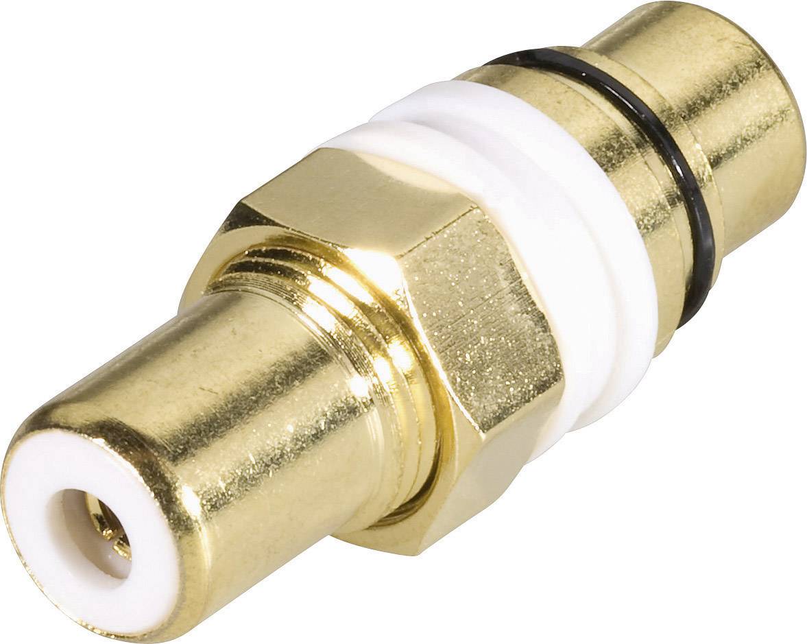 TRU Components Cinch-Adapter Cinch-Buchse - Cinch-Buchse 1 St.