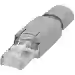 WAGO RJ45-Steckverbinder IP20 - CAT5e 750-975 Stecker, gerade Pole: 8P8C Grau 1St. WAGO RJ45-Steckverbinder IP20 - CAT5e 750-975 Stecker, gerade Pole: 8P8C Grau 1St.