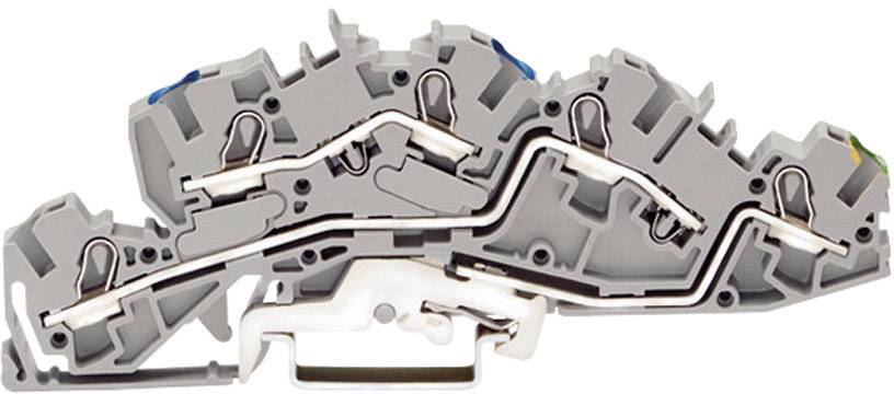 WAGO 2005-7646 Installationsetagenklemme 6.20 mm Zugfeder Belegung: N, L, PE Grau