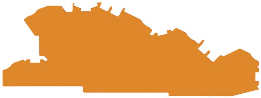 Ein einfarbiges, orangenes Silhouettenbild eines unregelmäßig geformten Objekts, möglicherweise ein Profil oder Umriss.