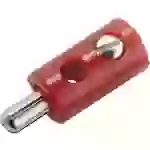 Kahlert Licht Miniatur-Bananenstecker Stecker, gerade Stift-Ø: 2.6mm Rot Kahlert Licht Miniatur-Bananenstecker Stecker, gerade Stift-Ø: 2.6mm Rot
