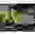 WAGO 2003-7642 Installationsetagenklemme 5.20mm Zugfeder Belegung: L, L Grau