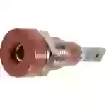 Stäubli LB-I2R Laborbuchse Buchse, Einbau vertikal Stift-Ø: 2mm Rot 1St. Stäubli LB-I2R Laborbuchse Buchse, Einbau vertikal Stift-Ø: 2mm Rot 1St.