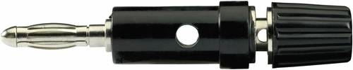 TRU Components TC-R1-30 B, 10A Büschelstecker Adapter, gerade Stift-Ø: 4mm Schwarz 1St.