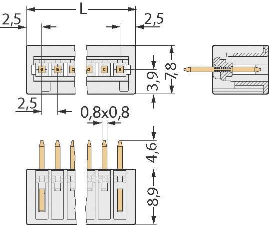 WAGO Stiftgehäuse-Kabel 733 Polzahl Gesamt 3 Rastermaß: 2.50 mm 733-333 1 St.