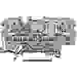 WAGO 2002-1661 Basisklemme 5.20mm Zugfeder Belegung: L Grau