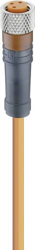 Lumberg Automation 11300-1 Sensor-/Aktor-Steckverbinder, konfektioniert M8 Buchse, gerade 2.00 m Po
