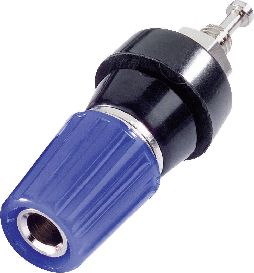 Ein blauer Verbindungsstecker mit Metallkontakt und schwarzem Isolator. Wird verwendet, um Kabel sicher zu verbinden.