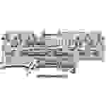 WAGO 2002-1881 Sicherungsklemme 5.20mm Zugfeder Belegung: L Grau