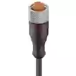 Lumberg Automation 11373-1 Sensor-/Aktor-Steckverbinder, konfektioniert M12 Buchse, gerade 2.00m Polzahl Sensoren: 5 1St. Lumberg Automation 11373-1 Sensor-/Aktor-Steckverbinder, konfektioniert M12 Buchse, gerade 2.00m Polzahl Sensoren: 5 1St.