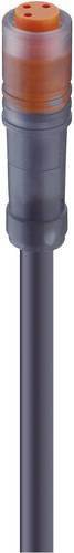 Lumberg Automation 11285-1 Sensor-/Aktor-Steckverbinder, konfektioniert M8 Buchse, gerade 5.00 m Po