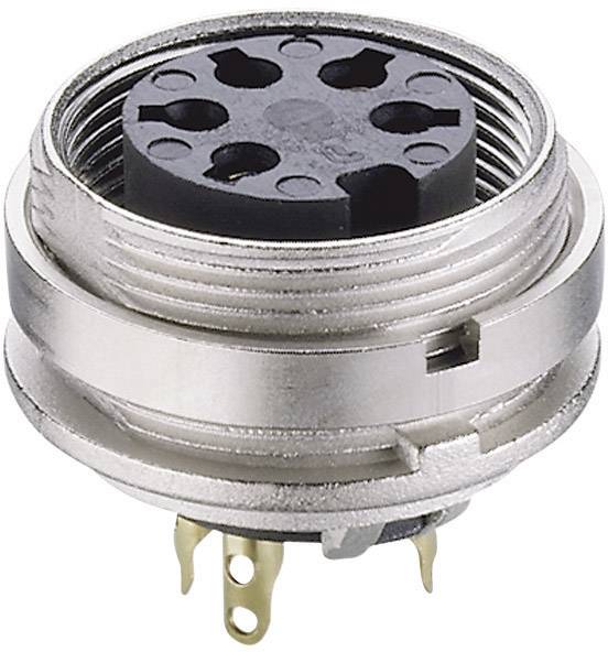 Metallischer Stecker mit schwarzer Kunststoffbasis und mehreren Anschlusspins, geeignet für elektrische Verbindungen.