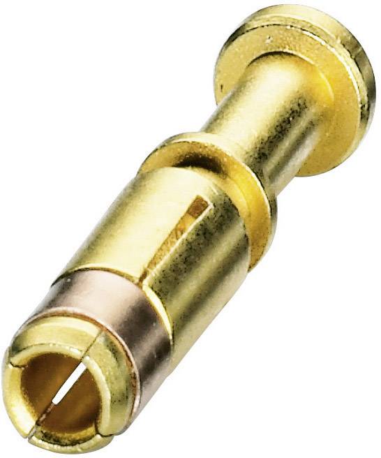 Coninvers Crimpkontakt für Serie P20 ST-20KS010 Gold Inhalt