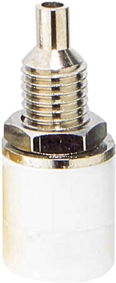 Ein silberner und weißer Ventiladapter, zylindrische Form, mit schlanker Spitze und breitem Unterteil, vermutlich für Reifen oder Schläuche.