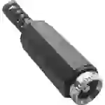 BKL Electronic 072224 Niedervolt-Steckverbinder Buchse, gerade 3.5mm 1.3mm 1St. BKL Electronic 072224 Niedervolt-Steckverbinder Buchse, gerade 3.5mm 1.3mm 1St.