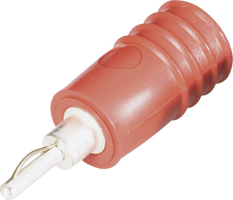 Ein einzelner, roter Bananenstecker mit metallischer Spitze, genutzt für elektrische Verbindungen und Verkabelungen.