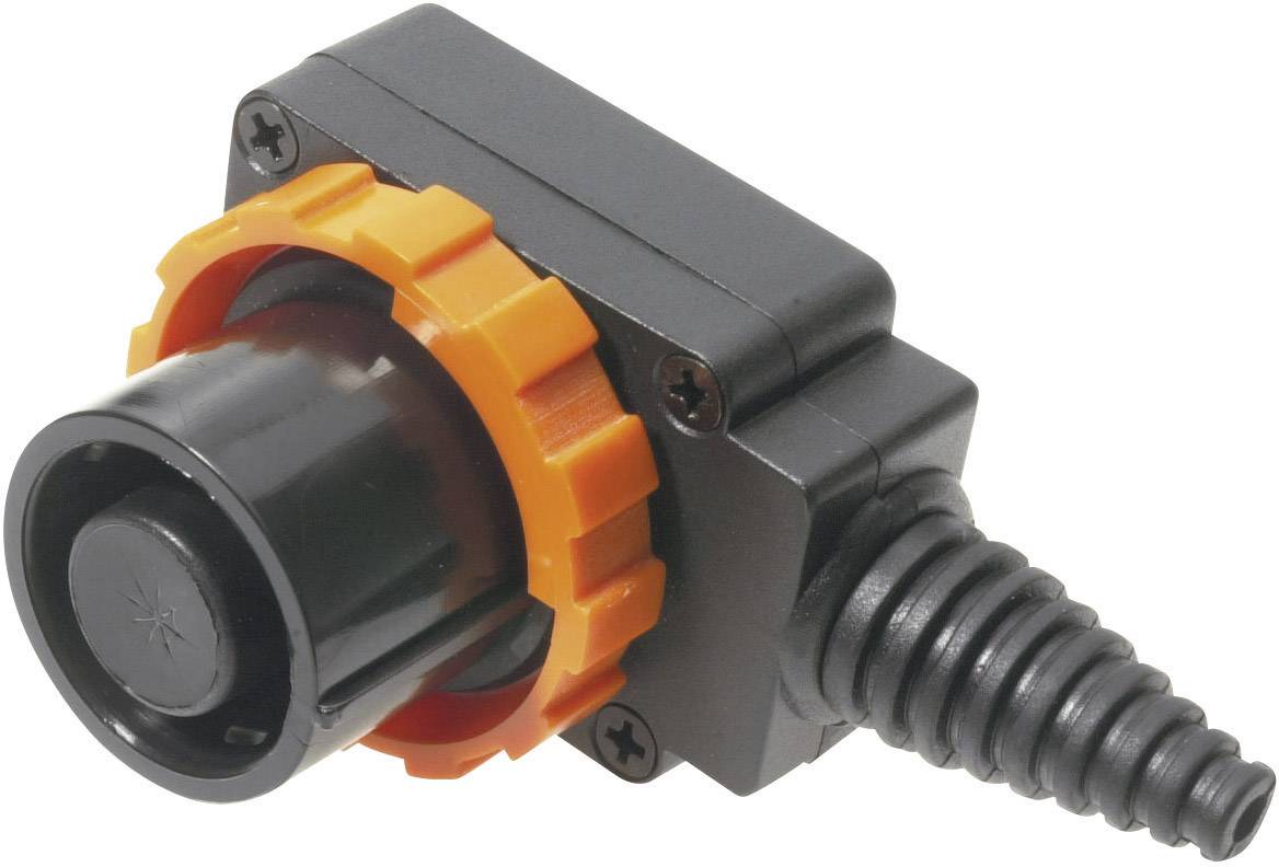 Cliff FCR2072 Netz-Steckverbinder FC Stecker, gewinkelt Gesamtpolzahl: 8 10 A Schwarz 1 St.