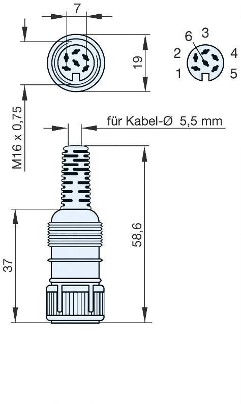 Hirschmann 930 962-517-1 DIN-Rundsteckverbinder Buchse, gerade Polzahl: 6 Grau 1 St.