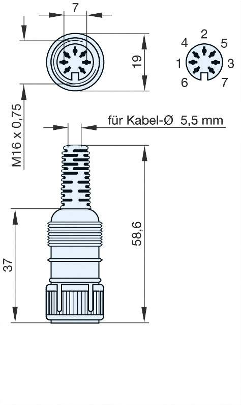 Hirschmann 930 682-517-1 DIN-Rundsteckverbinder Buchse, gerade Polzahl: 7 Grau 1 St.