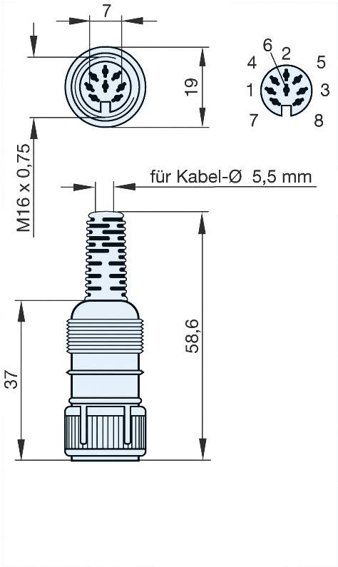 Hirschmann 930 538-517-1 DIN-Rundsteckverbinder Buchse, gerade Polzahl: 8 Grau 1St.