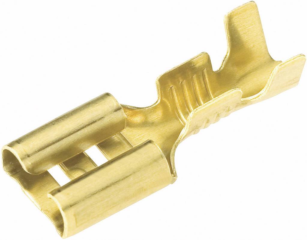 A brass plug in close-up, with two parallel cavities and a curved shape for electrical connections.