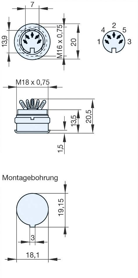 Hirschmann 930 953-517-1 DIN-Rundsteckverbinder Buchse, Einbau vertikal Polzahl: 5 Grau