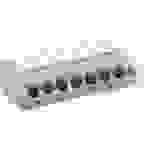 WAGO 804-108 Federkraftklemmblock 2.50mm² Polzahl (num) 8 Grau, Weiß