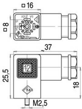Binder MagnetventilsteckverBauform C Serie 230 Schwarz Pole:2+PE 43-1900-000-03 Inhalt: 1 St