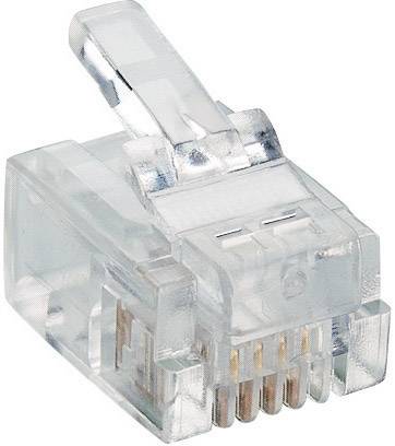 Lumberg P 127 Modularstecker P 127 Stecker, gerade Polzahl Sensoren 6P4C Transparent