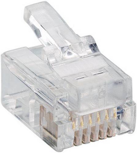 Lumberg P 128 Modularstecker P 128 Stecker, gerade Polzahl Sensoren 6P6C Transparent