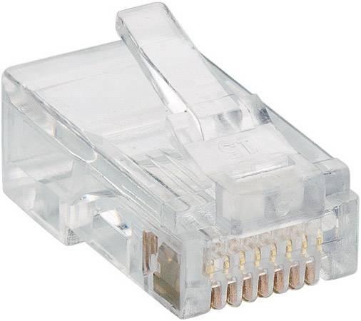 Lumberg P 129 Modularstecker P 129 Stecker, gerade Polzahl Sensoren 8P8C Transparent