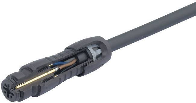 Ein graues Kabel mit einem abisolierten Ende, das verschiedene farbige Drähte zeigt: braun, blau und gelb-grün.