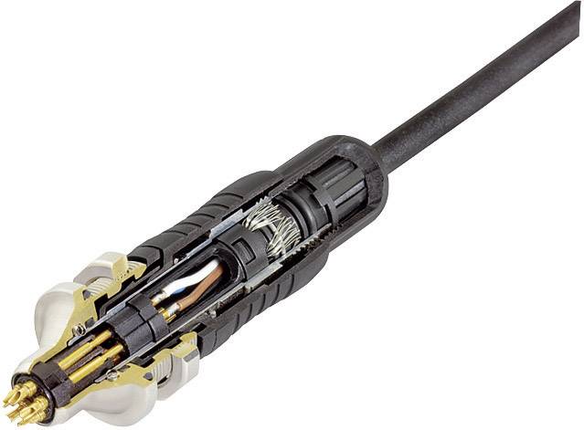 Binder 99-4905-00-03 Rundstecker Stecker, gerade Gesamtpolzahl: 3 Serie (Rundsteckverbinder): 430 1St.