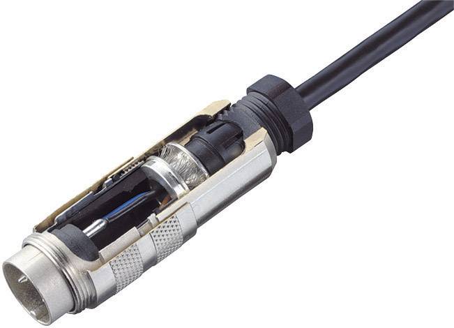 Binder 99-5113-15-05 Rundstecker Stecker, gerade Gesamtpolzahl: 5 Serie (Rundsteckverbinder): 423 1St.