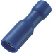 Cosse cylindrique femelle TRU COMPONENTS FRD2-195 739034 1.50 mm² 2.50 mm² Ø de la broche: 5 mm entièrement isolé bleu 50 pc(s)