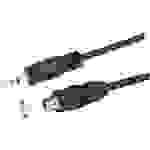 Kash 35D019 Klinke Audio Verlängerungskabel [1x Klinkenstecker 3.5mm - 1x Klinkenbuchse 3.5 mm] 20.00cm Schwarz