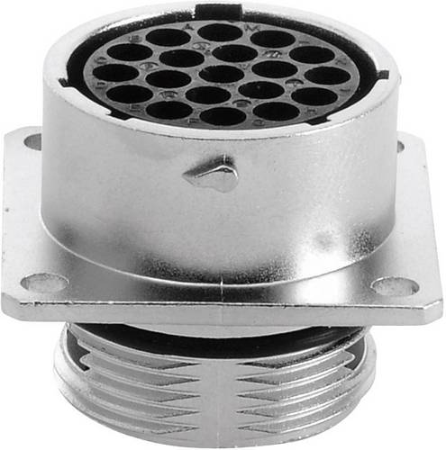 Amphenol RT0016-19SNH Rundstecker Kupplung, gerade Gesamtpolzahl: 19 Serie (Rundsteckverbinder): RT