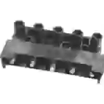 Adels-Contact 12291 163 ST/5 DS Verbindungsklemme flexibel: -2.5mm² starr: -2.5mm² Polzahl: 5 1 St. Schwarz Adels-Contact 12291 163 ST/5 DS Verbindungsklemme flexibel: -2.5mm² starr: -2.5mm² Polzahl: 5 1 St. Schwarz
