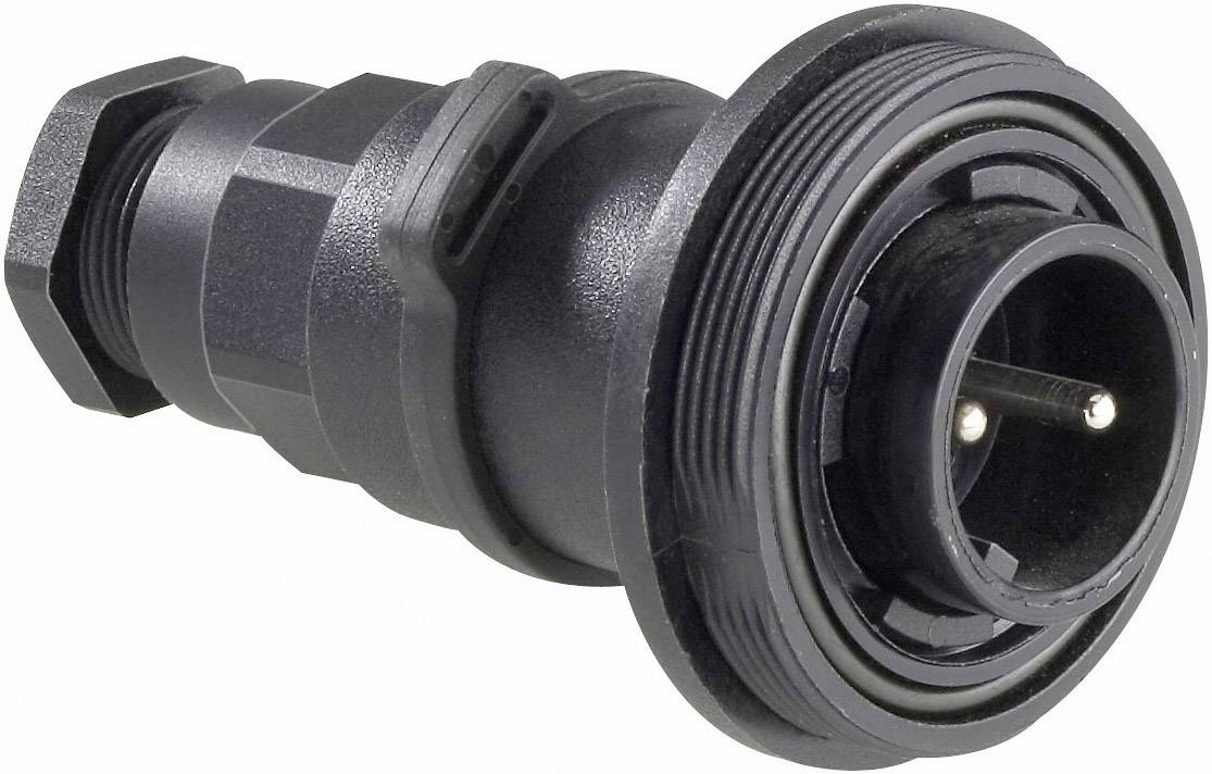 Bulgin PX0737/P Rundstecker Stecker, gerade Gesamtpolzahl: 2 Serie (Rundsteckverbinder): PX07 1 St.