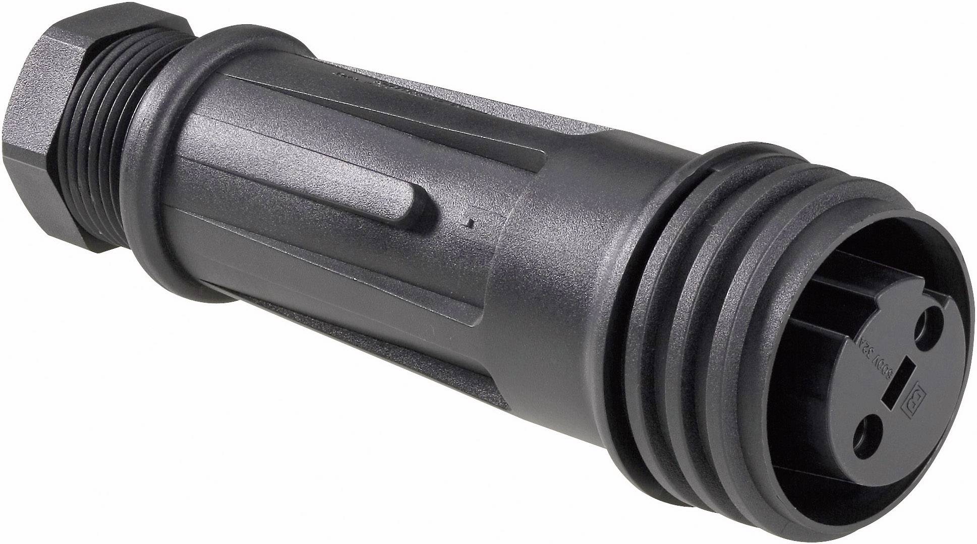 Bulgin PX0921/03/S Rundstecker Buchse, gerade Gesamtpolzahl: 3 Serie (Rundsteckverbinder): PX 1 St.