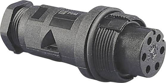 Bulgin PX0801 Rundstecker Stecker, Einbau Serie (Rundsteckverbinder): PX08 1 St.