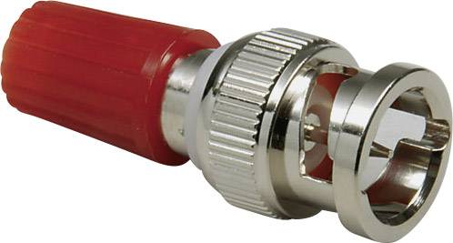 Ein BNC-Stecker mit rotem Isolator, er wird häufig für Koaxialkabelverbindungen in der Netzwerktechnik und Videogeräten verwendet.